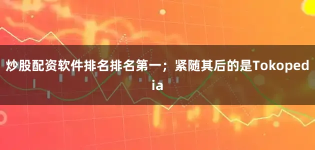 炒股配资软件排名排名第一；紧随其后的是Tokopedia